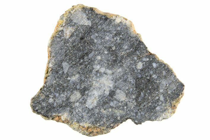 Polished Lunar Meteorite ( g) End Cut Slice - NWA #333166